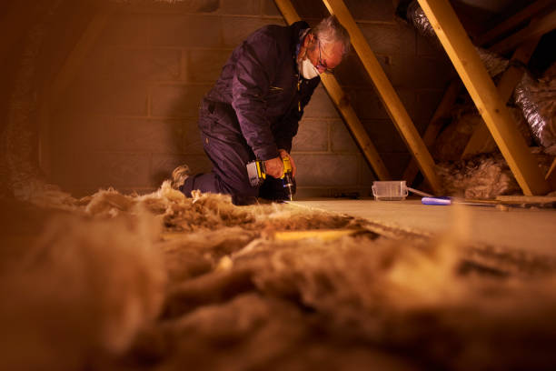 Best Insulation for New Construction  in Mont Clare, PA